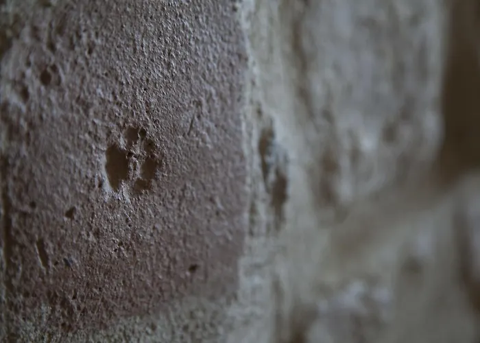 Farm stay San Fedele *